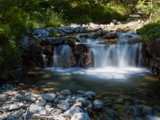 Fototapeta premium waterfall in the forest