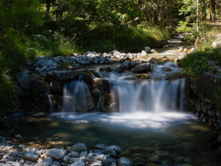 Fototapeta premium waterfall in the forest