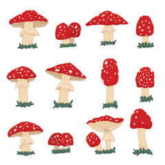 Toxic fly agarics set of mushrooms elements with red cap and mold. Hallucinogenic food of amanita muscaria collection isolated on white background. Vector cartoon illustration