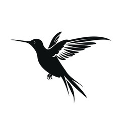 Fototapeta premium black silhouette of a hummingbird isolated on white background 