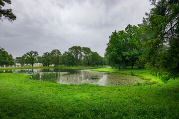 A pond with trees in the background