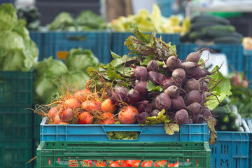 Selling vegetable at Prague farmers market. Huge pile of beetroot displayed at Naplavka street food market.