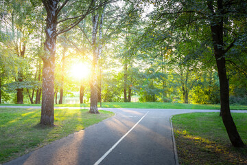 A path in a park with a road running through it