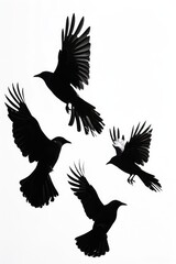 Fototapeta premium A group of black birds flying together in the sky