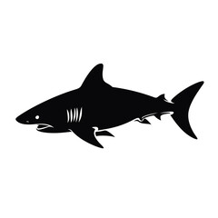 Fototapeta premium black silhouette of a shark isolated on white background 