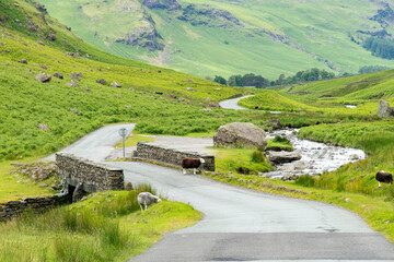B5289 road with bridge and stream from Honister Pass in the Lake District, Keswick, Cumbria, UK...
