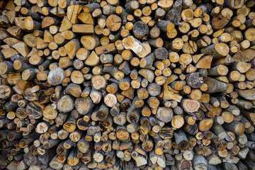 A lot of chopped firewood, a wall of firewood