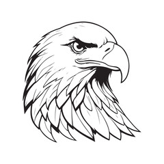 Eagle line art vector silhouette with white Background