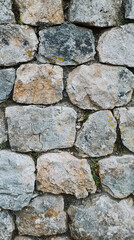 Obraz premium Timeworn Stone: A Rugged Wall, Weathered and Wild, with Tiny Plants Reaching for the Light.