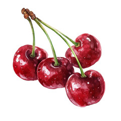 A bright watercolor of fresh cherries showcases their glossy red hue and juicy essence against a transparent background, cherries in drawing on transparent background