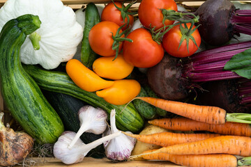 Bio-nutrition. Garden products and harvested vegetables. Fresh farm vegetables in a wooden box. A bunch of various raw fresh vegetables outdoors in the grass
