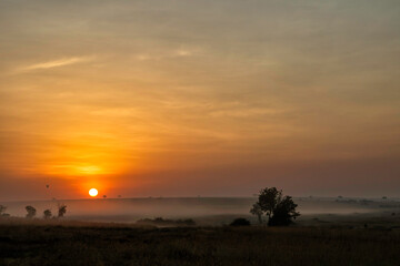 Landscape at sunrise with mist over the plains, Masai Mara National Reserve, Kenya