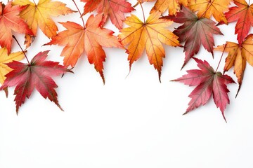Autumn Maple Leaves Flat Lay White Background created with Generative AI