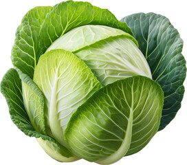 Obraz premium Fresh, vibrant green cabbage showcasing its rich texture and healthy leaves, perfect for culinary and nutritional themes.