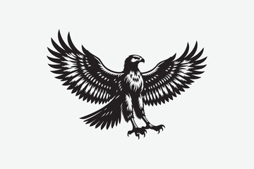 Fototapeta premium Eagle Bird vector art and illustration