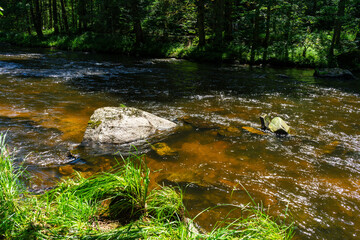 Hiking along Ilz River in the Bavarian Forest 2024