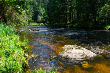 Hiking along Ilz River in the Bavarian Forest 2024