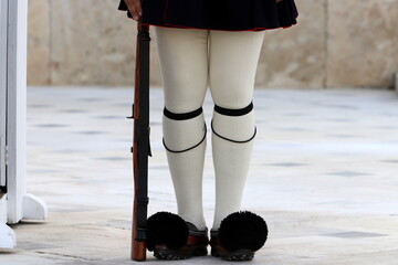 Guards march at the entrance to the royal palace.