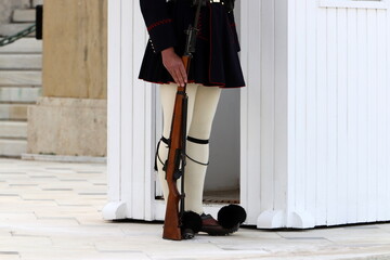 Guards march at the entrance to the royal palace.