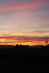 sunset over the field