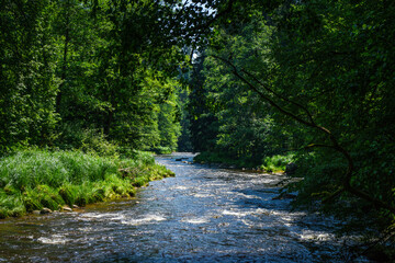 Hiking along Ilz River in the Bavarian Forest 2024