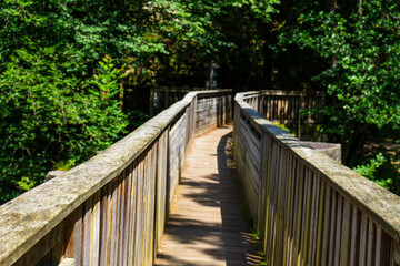 Hiking along Ilz River in the Bavarian Forest 2024