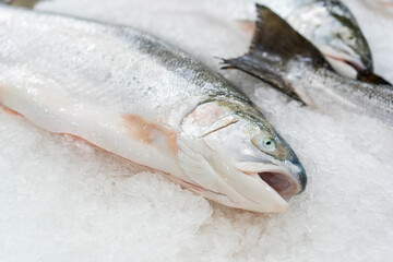 closeup salmon and eye on ice tray to freshness raw frozen and chilled seafood for iodine and omega 3 to fish food in supermarket and department store