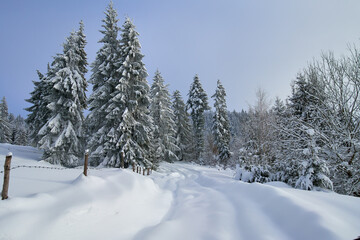Fototapeta premium Snowy landscape with road and mountains and forest