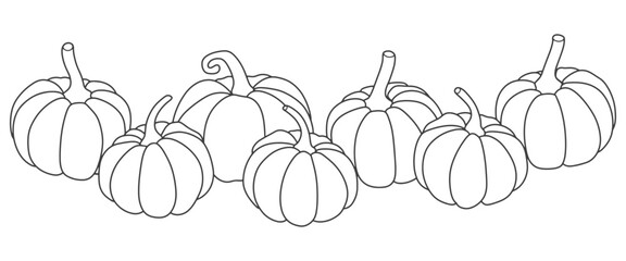 pumpkins vector illustration Fall and Thanksgiving season. Vector isolated on white background. Flat design style