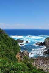 Obraz premium 綺麗な青の海