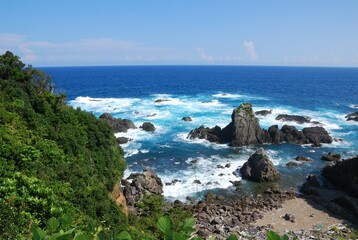 綺麗な青の海