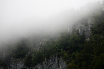 fog in the mountains