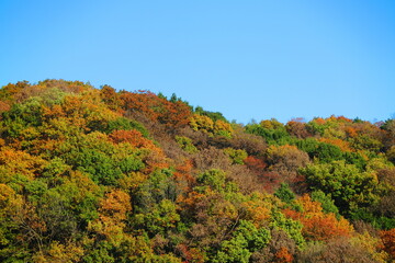 公園から見た秋の空と秋の山の風景36