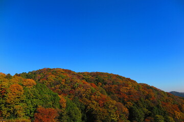 公園から見た秋の空と秋の山の風景37