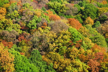 公園から見た秋の空と秋の山の風景38