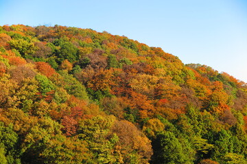 公園から見た秋の空と秋の山の風景31