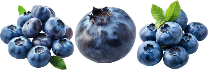 Blueberry set isolated on transparent background