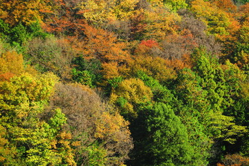 公園から見た秋の空と秋の山の風景21