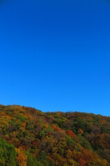 公園から見た秋の空と秋の山の風景14
