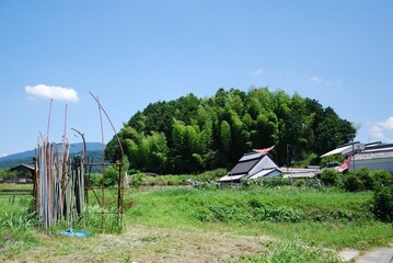 田舎の風景