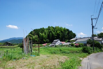 田舎の風景
