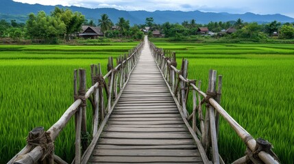 Obraz premium Traditional wooden bridge crossing a rice field, with green paddies stretching out on both sides. The bridge leads to a small village in the distance.