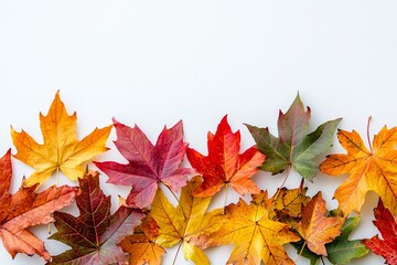 Fototapeta premium Autumn Maple Leaves Flat Lay White Background created with Generative AI