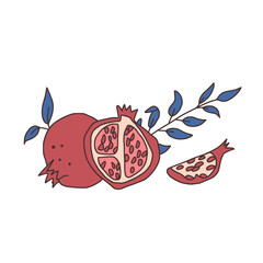 Pomegranates half and whole isolated on white background. Ripe fruits and leaves. Vector hand drawn illustration