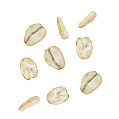Oat flakes watercolor. Hand drawn oats on isolated white background. Clip art realistic morning breakfast. Ideal for oatmeal packaging and logo