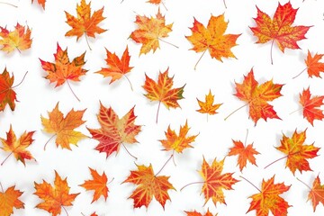 Seamless pattern with colourful autumn oak, maple leaves on white background. Perfect for wallpaper, gift paper, pattern fills, web page background, autumn greeting cards, autumn background
