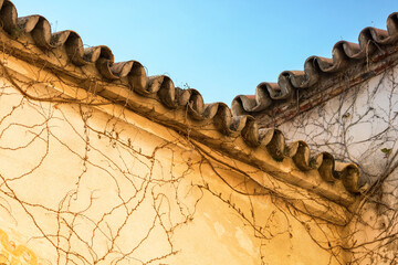 Typical roof of Italian Tuscany house. Close up of a roof.