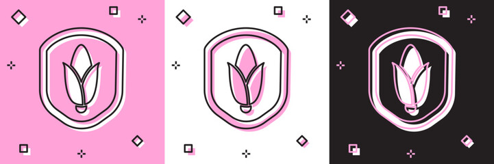 Set Shield corn icon isolated on pink and white, black background. Security, safety, protection, privacy concept. Vector