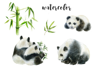 Fototapeta premium A charming watercolor panda illustration ideal for various art and design projects