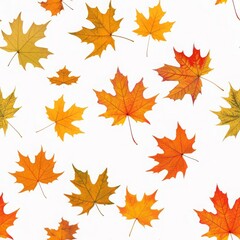Seamless pattern with colourful autumn oak, maple leaves on white background. Perfect for wallpaper, gift paper, pattern fills, web page background, autumn greeting cards, autumn background